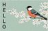 Tapis Boston oiseau 40 x 60 cm - ID HOME