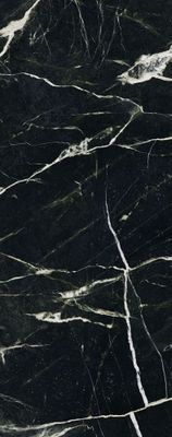 Panneau mural de douche 100x255 cm marbre noir vert DécoDesign Softtouch - SCHULTE