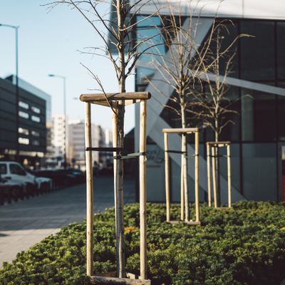 Piquet bois pin traité autoclave classe 4 - Ø60 x 2500 mm - DEBARGE