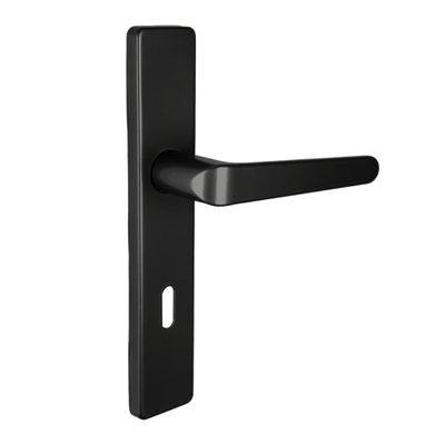Poignées de porte sur plaques à clé double entraxe Celio noir mat ALPERTEC
