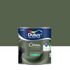 Peinture crème de couleur Vert Tropical satin 0,5L - DULUX VALENTINE