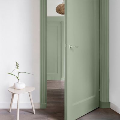 Peinture Color Resist murs et boiseries Vert Saule mat 0,5 L - DULUX VALENTINE