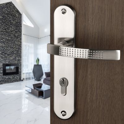 Poignées de porte sur plaques à cylindre Audace nickel mat ALPERTEC