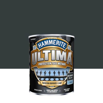 Peinture fer extérieur ultima gris anthracite RAL 7016 brillant 0,75 L - HAMMERITE