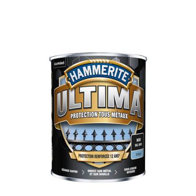 Peinture fer extérieur ultima noir RAL 9006 brillant 2,5 L - HAMMERITE