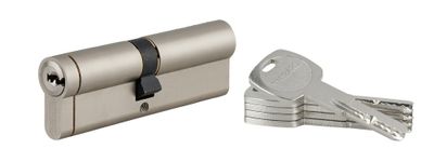 Cylindre de serrure double entrée débrayable 50 x 50 mm Transit 1 haute sécurité nickelé 5 clés longues THIRARD