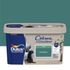 Peinture Crème de Couleur Eucalyptus satin 2,5 L - DULUX VALENTINE