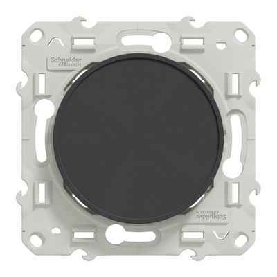 Obturateur de prise et dérivation anthracite - Odace 2011 SCHNEIDER ELECTRIC