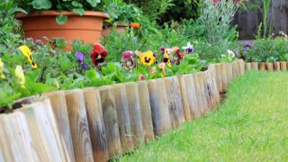 Nomenclature Bordure de jardin bois