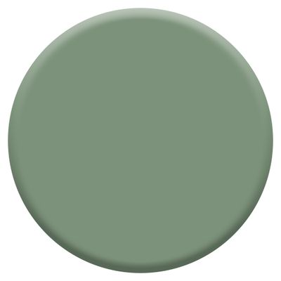 Peinture crème de couleur Vert Ginkgo velours 0,5L - DULUX VALENTINE