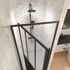 Porte de douche pivotante 90x200 cm profilé noir verre transparent 5 mm Fabrik - AURLANE