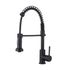 Robinet de cuisine avec douchette Noir Plimo - ESSEBAGNO