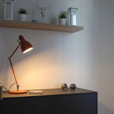 Ampoule LED flamme SMD E14 opaque 6W = 470 lumens blanc chaud - XANLITE