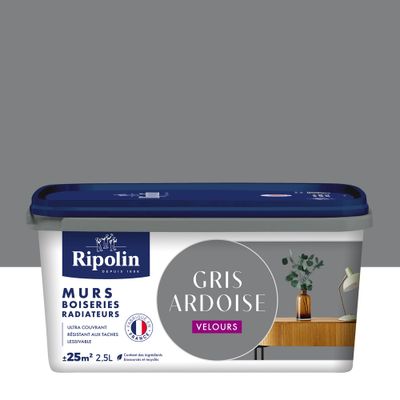 Peinture murs, boiseries et radiateurs gris ardoise velours 2,5L RIPOLIN