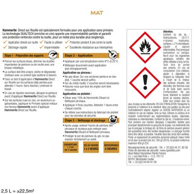 Peinture fer extérieur direct sur rouille lisse noir ferronnerie mat 250 mL - HAMMERITE