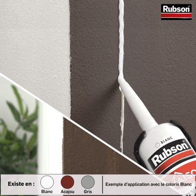Mastic Acrylique Murs & Fenêtres Blanc 280 ml par 2 RUBSON