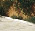 Bordure de jardin droite Bearn 50 x 7 x 10 cm béton crème WESER