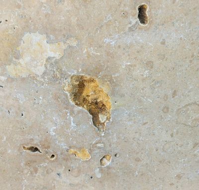 Pierre Naturelle travertin beige ép 12 mm 40,6 x 61 cm DISTRIMAT SUD