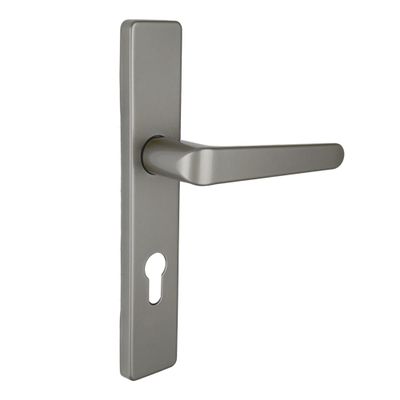 Poignées de porte sur plaques à cylindre double entraxe Celio gris ALPERTEC