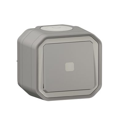 Interrupteur temporisé étanche IP55 avec voyant lumineux en saillie Gris - Plexo LEGRAND