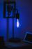 Ampoule wifi EDISON fil E27 RGBW 4.5 W = 300 lumens - LEDVANCE
