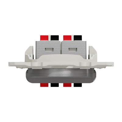 Prise haut-parleurs aluminium - Odace 2011 SCHNEIDER ELECTRIC