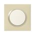 Plaque carrée 1 poste finition dune mat Dooxie LEGRAND
