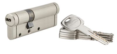 Cylindre de serrure double entrée 30 x 60 mm Trafic 12 très haute sécurité nickelé 5 clés THIRARD