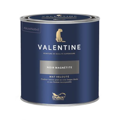 Peinture Valentine Mat Velouté Noir Magnétite 0,5 L - DULUX VALENTINE