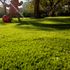 Gazon synthétique Natura 42 mm 3 m x 2 m AG'CO