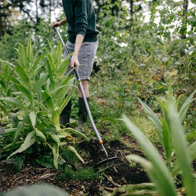 Binette manche courbé Ergonomic