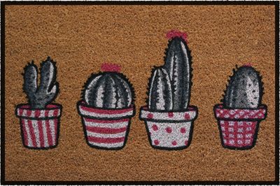 Tapis natruel blanchi pots cactus 40 x 60 cm - ID HOME