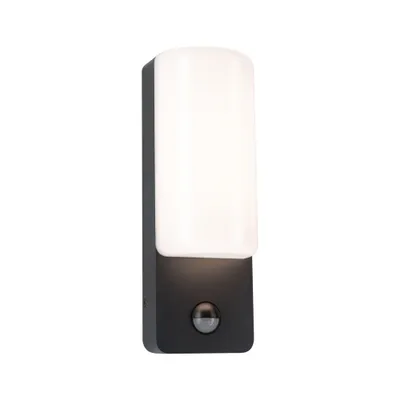 Applique extérieur LED IP44 détecteur de mouvements 560 lumens blanc chaud Anthracite - Bonnie PAULMANN