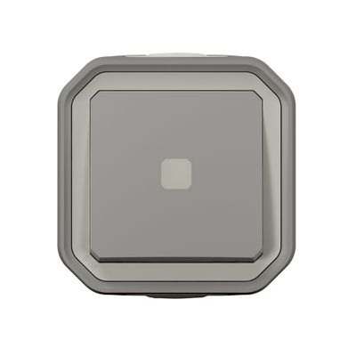 Interrupteur temporisé étanche IP55 avec voyant lumineux en saillie Gris - Plexo LEGRAND