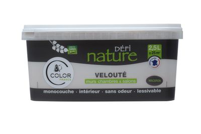 Peinture naturelle murale Macaron velours 2,5 L - DEFI NATURE