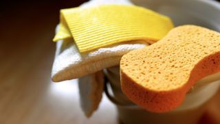 Nomenclature Eponge - lavette