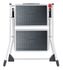 Marchepied 2 marches Mini acier - HAILO