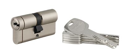 Cylindre de serrure double entrée 30 x 30 mm Transit 1 haute sécurité nickelé 5 clés THIRARD