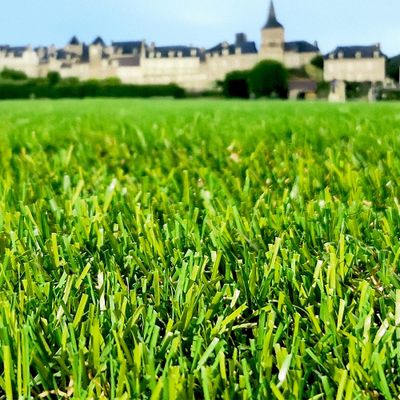 Gazon synthétique GRUISSAN ép 34 mm 4 x 3 m - AG'CO