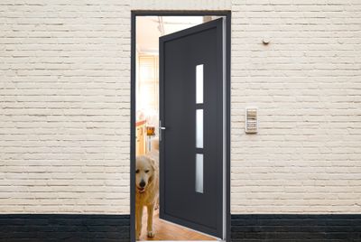 Porte d'entrée Manhattan pvc gris poussant droit 215 X 90 cm CLOSY