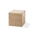 Carton d'expédition 6 Litres 18 x 18 x 18 cm par 20 MOTTEZ