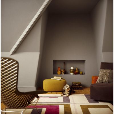 Peinture crème de couleur Gazelle Mat 1,25 L - DULUX VALENTINE