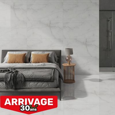 Carrelage de sol intérieur effet marbre gris ROYAL ONYX ép 9mm 60x120 cm 1.44 pqt/m² ELYSSA TRADING