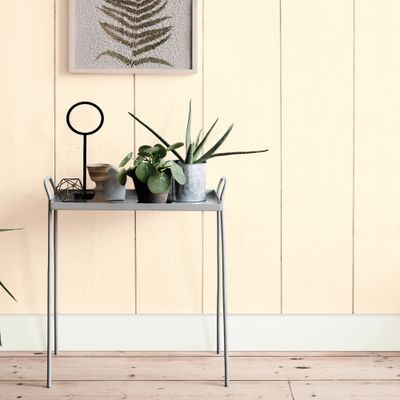 Peinture COLOR RESIST mur et boiserie Dentelle mat 0,5 L - DULUX VALENTINE