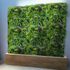 Mur végétal artificiel luxury 1m x 1m AG'CO