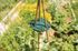 Support tuteur disque en plastique wigwam par 2 WINDHAGER