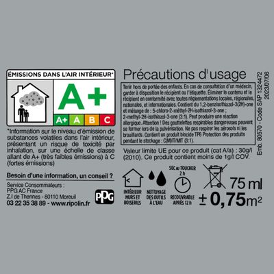 Peinture O'PUR Gris Galet 75 ml - RIPOLIN