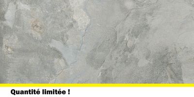 Carrelage de sol extérieur effet pierre gris ARDESIA GRIS ép 8 mm 30 x 60 cm paquet de 1,44m²