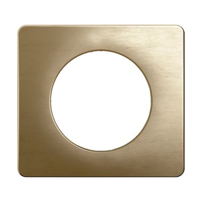 Plaque de finition 1 poste Bronze satiné - Céliane LEGRAND