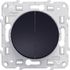 Double poussoir anthracite - Odace 2011 SCHNEIDER ELECTRIC